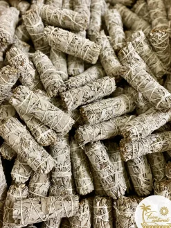 Discount HippieChic Sauge blanche - California White Sage Farm