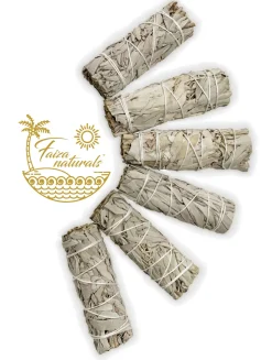 Discount HippieChic Sauge blanche - California White Sage Farm